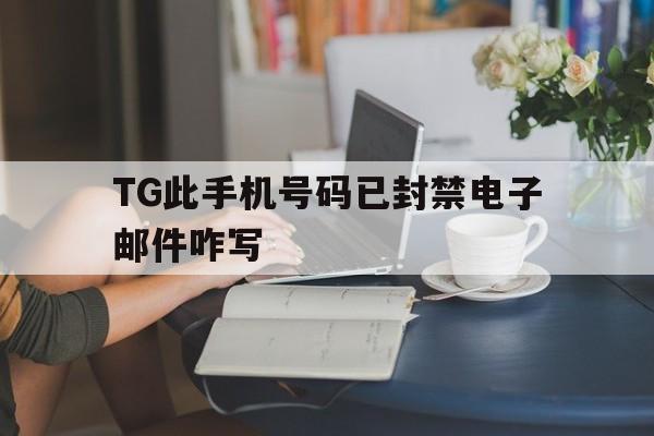 包含TG此手机号码已封禁电子邮件咋写的词条