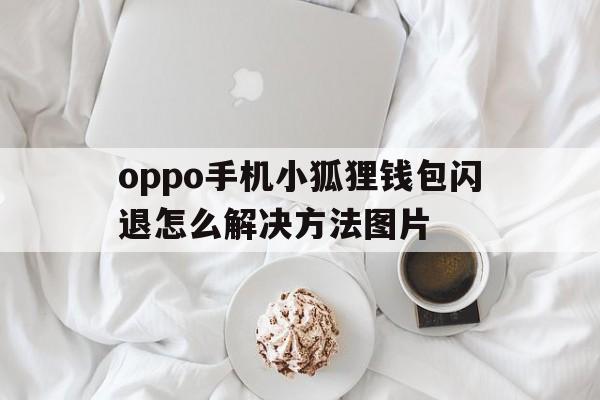 oppo手机小狐狸钱包闪退怎么解决方法图片_oppo手机小狐狸钱包闪退怎么解决方法图片不显示