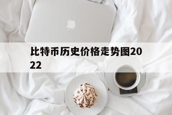 比特币历史价格走势图2022_比特币历史价格走势图2022年