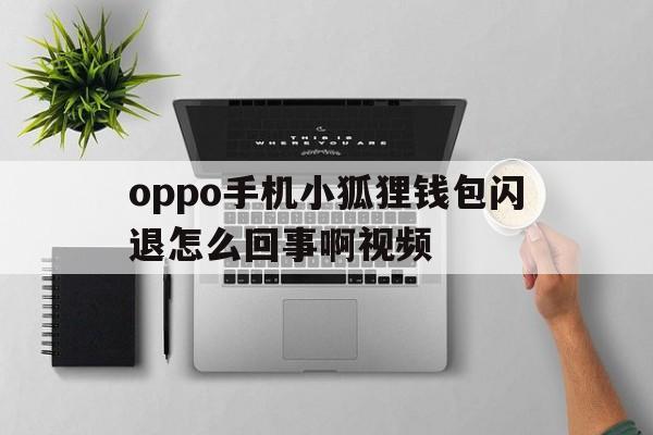 oppo手机小狐狸钱包闪退怎么回事啊视频_oppo手机小狐狸钱包闪退怎么回事啊视频教学