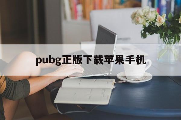 pubg正版下载苹果手机_pubg mobile下载手机版苹果