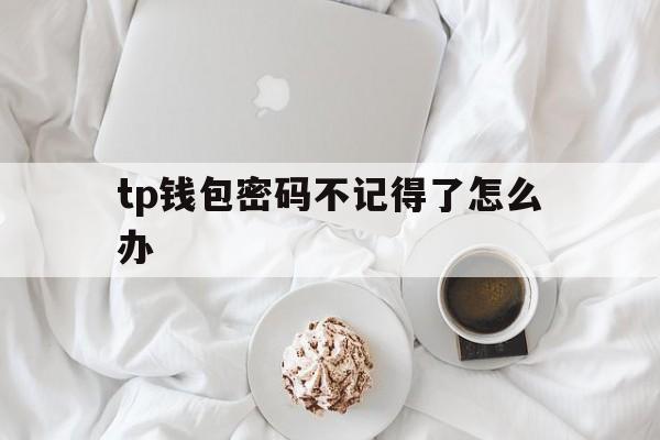 tp钱包密码不记得了怎么办_tp钱包支付密码忘记了怎么办