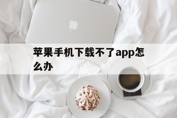 苹果手机下载不了app怎么办_苹果手机app下载不了软件怎么办