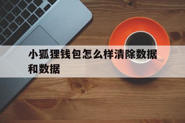 小狐狸钱包怎么样清除数据和数据_小狐狸钱包怎么样清除数据和数据记录