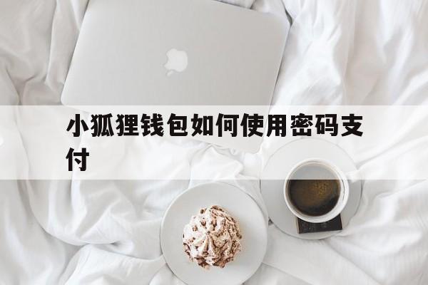 小狐狸钱包如何使用密码支付_小狐狸钱包如何使用密码支付的