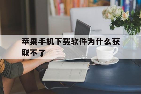 苹果手机下载软件为什么获取不了_苹果手机下载软件为什么获取不了还说内购买