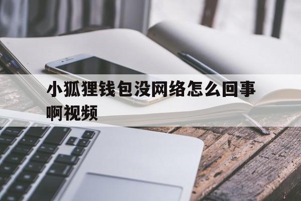 小狐狸钱包没网络怎么回事啊视频_小狐狸钱包没网络怎么回事啊视频教学