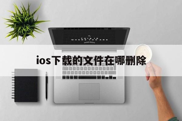 ios下载的文件在哪删除_iphone下载的文件怎么删除文件