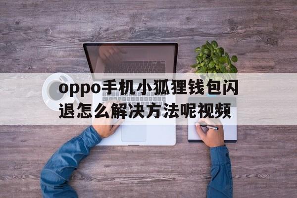 oppo手机小狐狸钱包闪退怎么解决方法呢视频_oppo手机小狐狸钱包闪退怎么解决方法呢视频教学