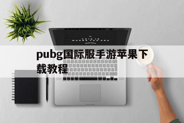 pubg国际服手游苹果下载教程_pubg mobile国际服苹果怎么下载