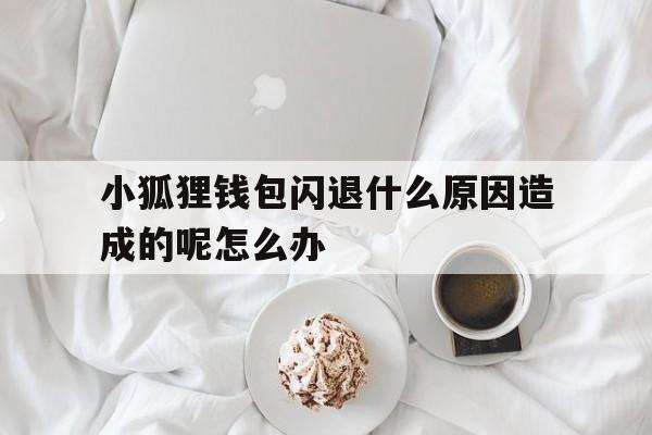 小狐狸钱包闪退什么原因造成的呢怎么办的简单介绍