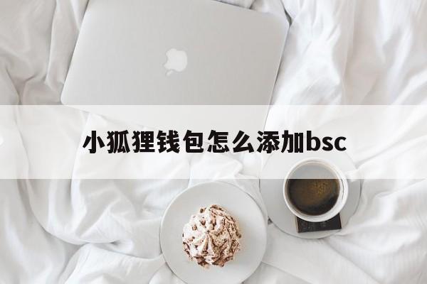 小狐狸钱包怎么添加bsc_小狐狸钱包怎么添加core代币