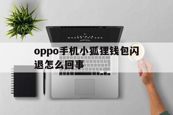 oppo手机小狐狸钱包闪退怎么回事的简单介绍