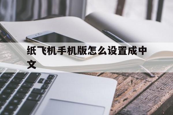 纸飞机手机版怎么设置成中文_怎么把手机版的纸飞机改成中文