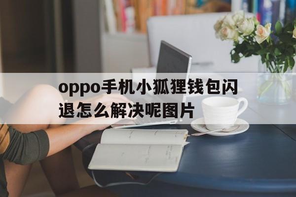 oppo手机小狐狸钱包闪退怎么解决呢图片_oppo手机小狐狸钱包闪退怎么解决呢图片大全