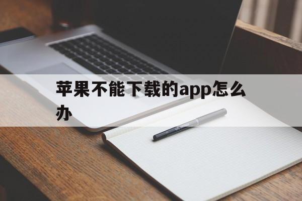 苹果不能下载的app怎么办_苹果不能下载的app怎么办安装