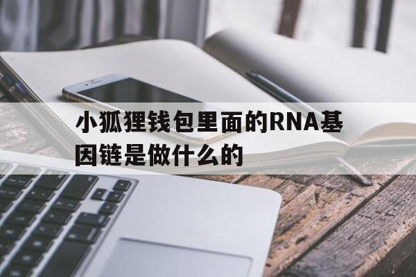 小狐狸钱包里面的RNA基因链是做什么的的简单介绍