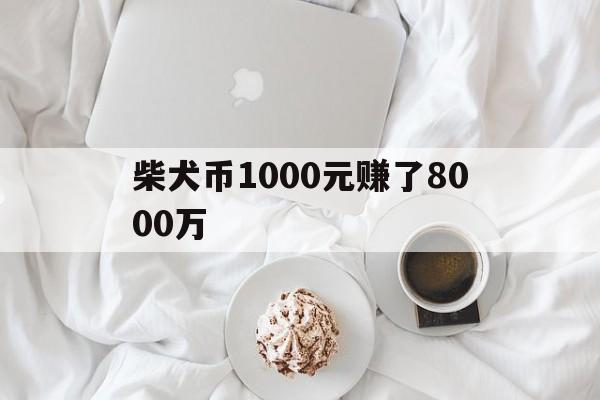 柴犬币1000元赚了8000万的简单介绍