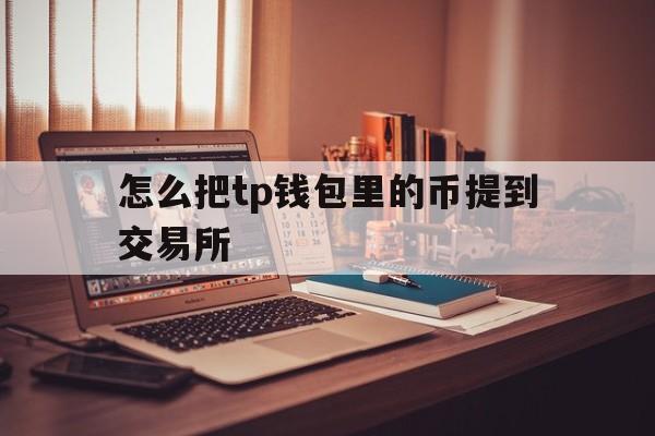 怎么把tp钱包里的币提到交易所_tp钱包里的usdt怎么提到交易所