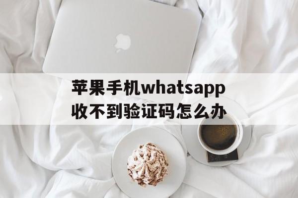 苹果手机whatsapp收不到验证码怎么办的简单介绍