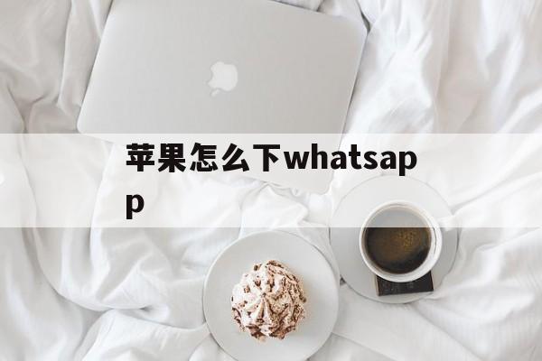 苹果怎么下whatsapp_苹果手机怎么下whatsapp