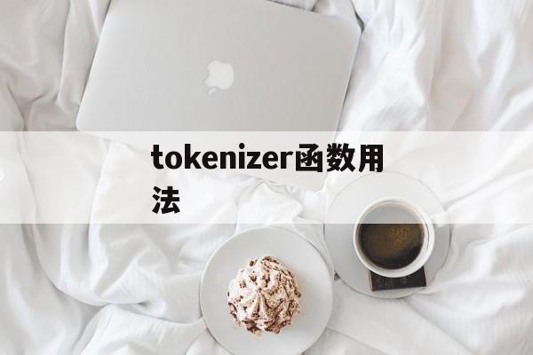 tokenizer函数用法_tokenize函数python用法