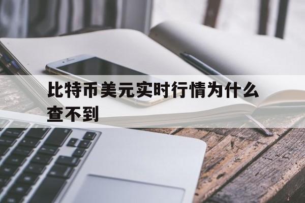 比特币美元实时行情为什么查不到_比特币价格今日行情走势图怎么没有