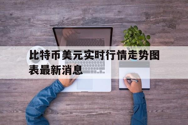 比特币美元实时行情走势图表最新消息_比特币美元实时行情走势图表最新消息今天