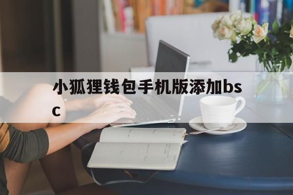 小狐狸钱包手机版添加bsc_小狐狸钱包手机版切换bsc链