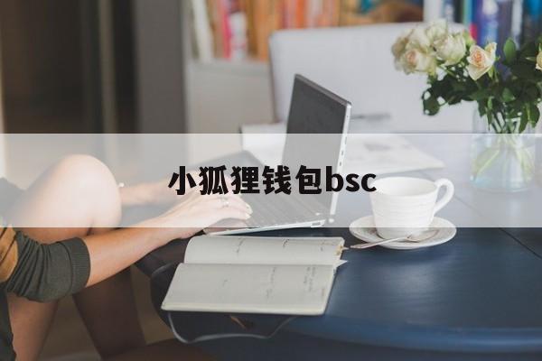 小狐狸钱包bsc_小狐狸钱包bsc链可以转eth链