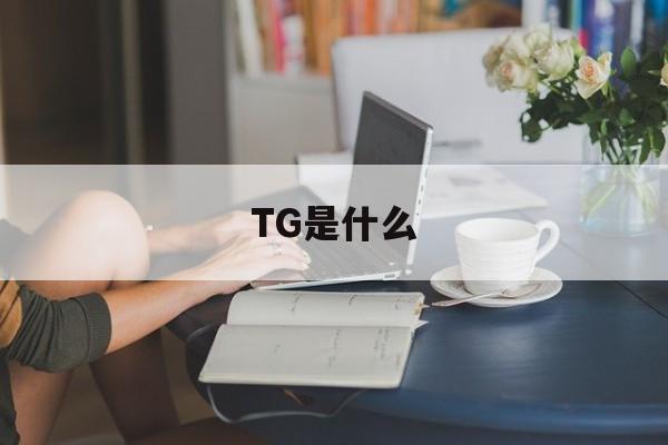 TG是什么_Tg是什么软件缩写