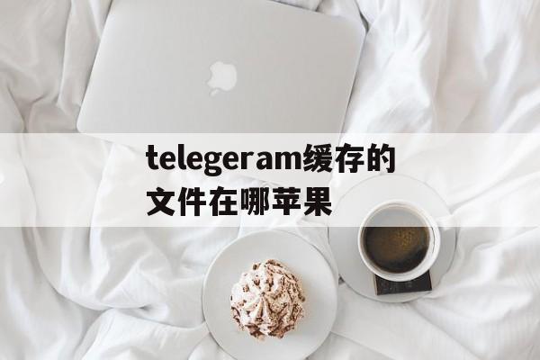 关于telegeram缓存的文件在哪苹果的信息