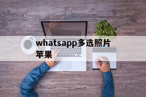 whatsapp多选照片苹果_whatsapp可以批量发信息吗