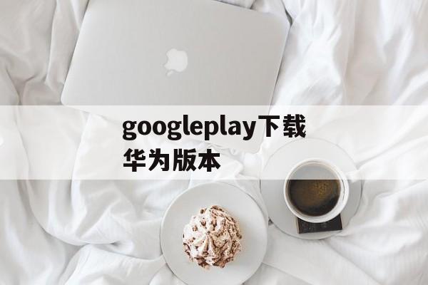 googleplay下载华为版本_google play华为下载安装