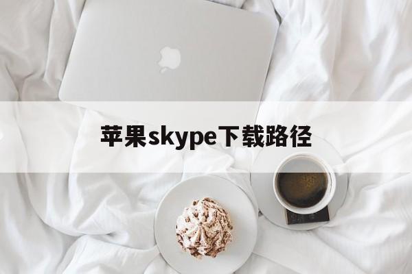 苹果skype下载路径_iphone skype下载