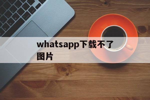 whatsapp下载不了图片_whatsapp怎么下载不了图片