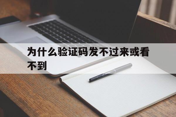 为什么验证码发不过来或看不到_为什么验证码发不过来或看不到信息