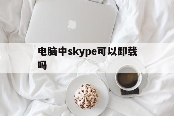 电脑中skype可以卸载吗_电脑中skype可以卸载吗安全吗