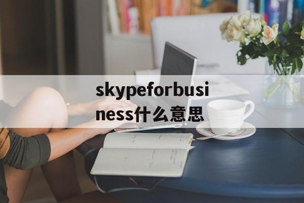 skypeforbusiness什么意思_skypeforbusiness2016是什么