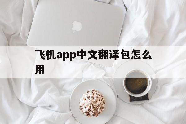 飞机app中文翻译包怎么用_飞机app中文翻译包怎么用不了