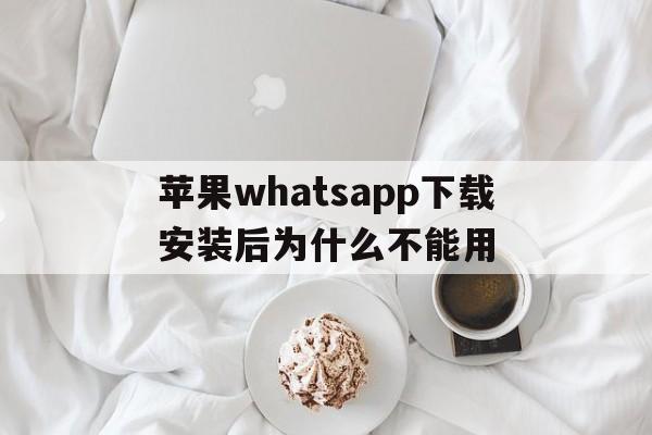 苹果whatsapp下载安装后为什么不能用_苹果whatsapp下载安装后为什么不能用流量