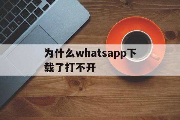 为什么whatsapp下载了打不开_下载了whatsapp,为什么用不了