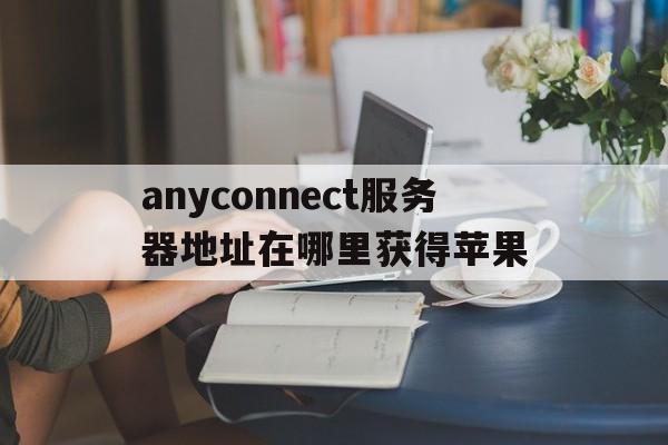 anyconnect服务器地址在哪里获得苹果_iphone anyconnect无法连接服务器