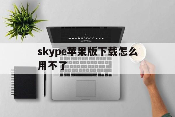 skype苹果版下载怎么用不了_skype为什么苹果手机下载不了了