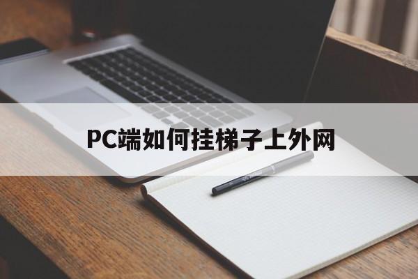 PC端如何挂梯子上外网_电脑怎么挂梯子上外网贴吧