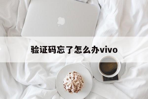 验证码忘了怎么办vivo_vivo手机密码忘了验证码也忘了