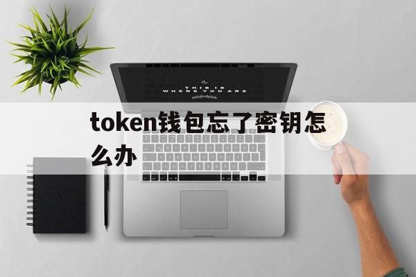 token钱包忘了密钥怎么办_tokenpocket钱包密码几位