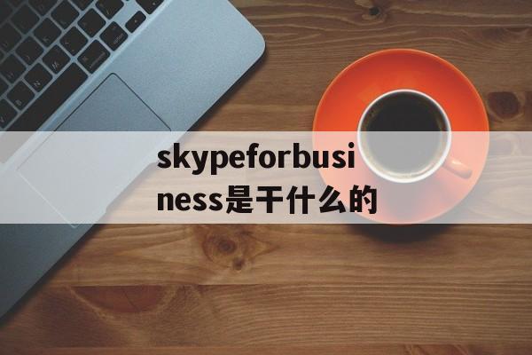 skypeforbusiness是干什么的_skype for business中文意思