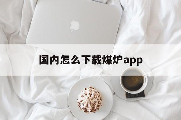 国内怎么下载煤炉app_煤炉mercari安卓下载