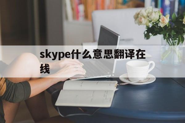 skype什么意思翻译在线_skype翻译成中文是什么意思